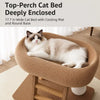 Oval Cat Scratcher Bed with Sisal Rope
