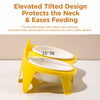 Elevated Double Ceramic Cat Bowls with Stand