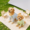 Mesh Four-Leg Dog Shirt with Printed Design