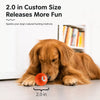 Squeaky Bouncing Ball Dog Toy
