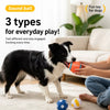 Squeaky Sports Ball Dog Toys