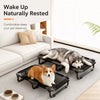 Elevated Foldable Dog Bed with Breathable Mesh