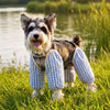 Lightweight Long-Leg Dog Pants for Outdoor Wear