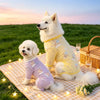 Mesh Four-Leg Dog Shirt with Printed Design