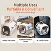Portable Plastic Pet Carrier for Small Dogs & Cats