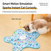Rechargeable Interactive Cat Toy with Wand and Play Cover