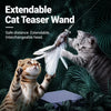 Cat Teaser Wand with Feather Replacement Heads