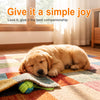 Interactive Rope Dog Toy for Chew and Tug Play