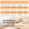 Elevated Portable Dog Cot Bed with Stainless Steel Frame