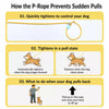 Dog Training Rope Leash