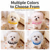 Breathable Mesh Muzzle for Small Dogs