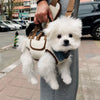 Pet Carrier Shoulder Bag for Small Dogs and Cats