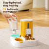 Automatic Pet Feeder and Water Dispenser with Dual Bowls