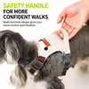 Adjustable Vest-Style Dog Harness with Leash
