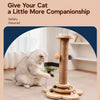 Cat Scratching Post with Interactive Treat Toy