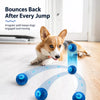 Squeaky Bouncing Ball Dog Toy