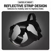 Adjustable Nylon Dog Harness with 59.1-Inch Leash