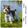 Lightweight Long-Leg Dog Pants for Outdoor Wear