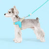 Nylon Rope Dog Leash