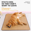 Woven Rattan Pet Mat with Foam Padding for Cats and Dogs