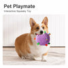 Squeaky Rolling Ball Dog Toy