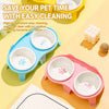 Elevated Double Ceramic Cat Bowls with Stand