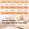 Elevated Mesh Pet Bed with Iron Frame
