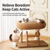 Cat Bed with Integrated Sisal Scratcher