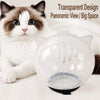 Cat Cone Collar for Grooming and Routine Handling