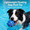 Dog Ball Toy with Round and Spiky Texture Options