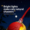 Automatic Cat Toy Ball with Teaser String