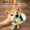 Squeaky Slipper Dog Toy for Small Dogs