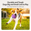 Squeaky Rolling Ball Dog Toy