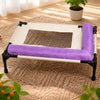 Elevated Pet Bed with Removable Washable Cover