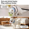 Plastic Dog Recovery Cone