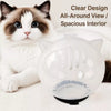 Transparent Cat Cone Collar for Grooming and Routine Care