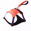 Nylon Dog Harness and Leash Combo