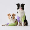 Dog Front-Leg Sleeve Garment for Medium and Large Dogs