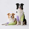 Dog Front-Leg Sleeve Garment for Medium and Large Dogs