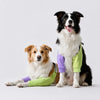 Dog Front-Leg Sleeve Garment for Medium and Large Dogs