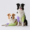 Dog Front-Leg Sleeve Garment for Medium and Large Dogs