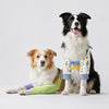 Dog Front-Leg Sleeve Garment for Medium and Large Dogs