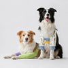 Dog Front-Leg Sleeve Garment for Medium and Large Dogs