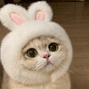 Character Pet Hats for Cats and Dogs
