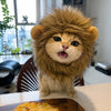 Character Pet Hats for Cats and Dogs