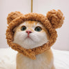 Character Pet Hats for Cats and Dogs