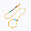 Nylon Dog Leash for Everyday Walks and Training