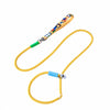 Nylon Dog Leash for Everyday Walks and Training