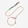 Nylon Dog Leash for Everyday Walks and Training
