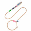 Nylon Dog Leash for Everyday Walks and Training